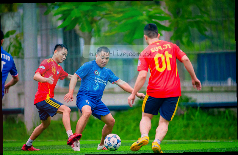 冷色调的双向条形与半场分割线构成的抽象图表，没有文字